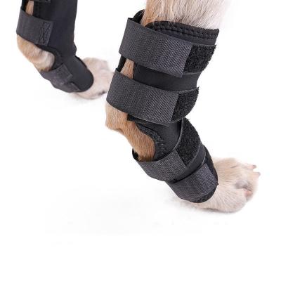 China Viable Dog Front Leg Compression Braces Support Super Canine Stabilize Dogs Wrist Front Leg Pet Knee Pads Carpal Rhine Joint Brace for sale