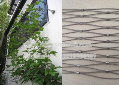 China Flexible Stainless Steel Wire Rope Mesh For Decoration Garden Climbing for sale