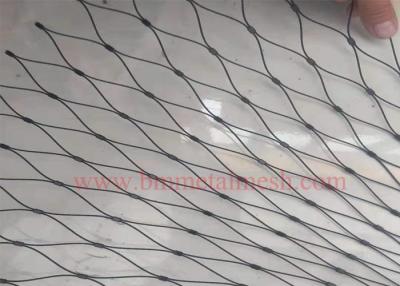 China Black Oxide stainless steel wire rope net for sale