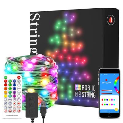 China WS2812 4020 IC 2021 5V Power 5m 10m Hottest USB Decorate Ws2812b Strings RGB Fairy Lights Aale Accessible In USA for sale