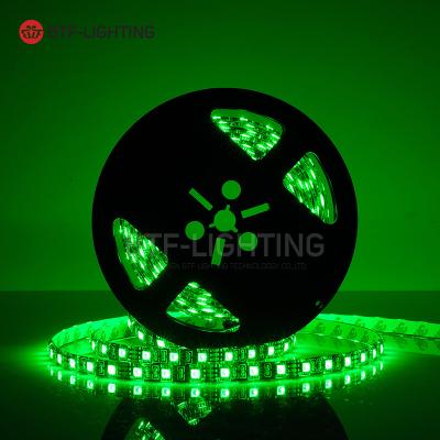 China Led landscape lighting BTF flexible 12v ip30 5050 rgb lighting led strip in sale for sale