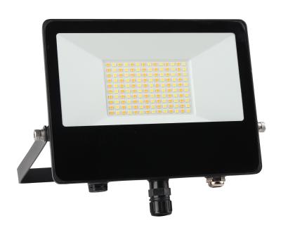 China CCT IP65 50W LED Flood Light Waterproof Outdoor With PIR Motion Sensor for sale