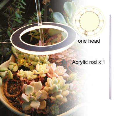 China Indoor Angel Ring Grow Light Retractable For LED Fill Lamp USB Indoor Full Spectrum Plants for sale