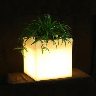 China Square PE Plastic Illuminated LED Ice Bucket / LED Flower Pot / Flower Planter à venda