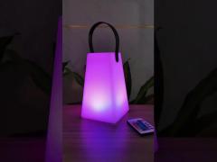 Rechargeable Portable LED Lamp With Handle Wireless Control colorful for Camping