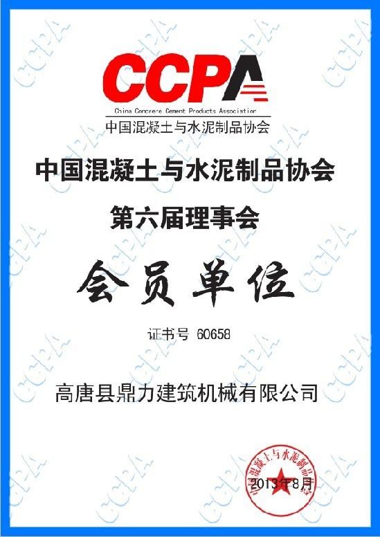 China Concrete Cement Association - Dingli Concrete Pipe Machinery Co.,Ltd