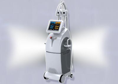 China reducción gorda Cryolipolysis de 8 pulgadas que adelgaza la máquina con 4 Handpiece no quirúrgico en venta