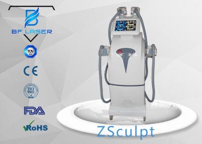 China Helada gordo del helada delgado vertical de Cryolipolysis que adelgaza la máquina para la disolución gorda en venta