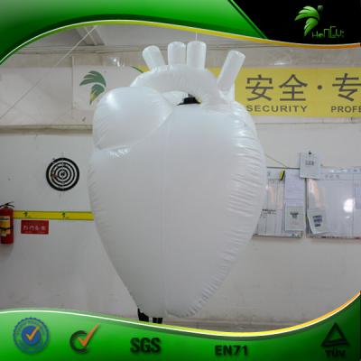 China Party/promotion/advertising and so on Hongyi Advertising Inflatable Heart Floating Balloon Advertising Giant Inflatable Human Organ Model for sale