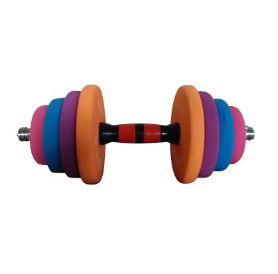 China Durable Commercial Gym Equipment Adjustable Dumbbells Dip Plastic Assemble Dumbbell for sale