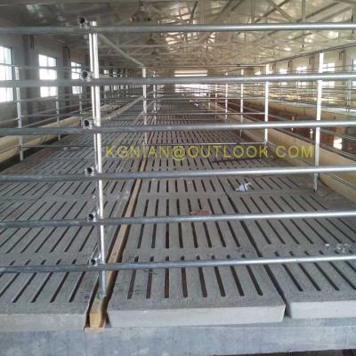 China Plastic Qualified Plastic Mold For Pigs And Goat Slats Concrete Floor for sale