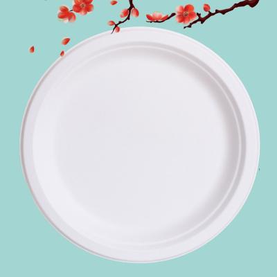 China Wholesale Disposable Biodegradable Tableware Bagasse Sugar Cane 10 Inch Compostable Paper Plates for sale