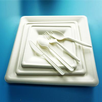 China Disposable Flatware Set Disposable Fully Compostable Biodegradable PLA Cutlery for sale