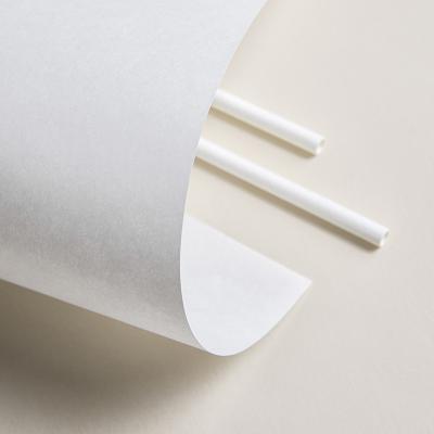 China Eco-Friendly Straw Paper Substitute Plastics With Eco Friendly Paper for sale