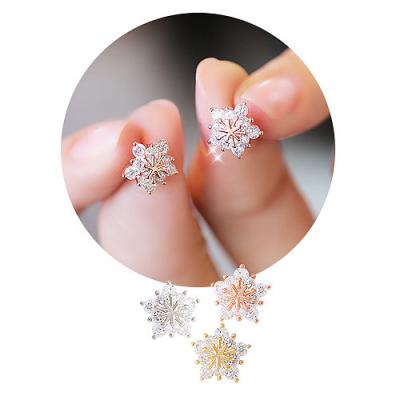 China Punk 2021 New Silver Stud Earrings 925 Sterling Silver Snowflake Stud Earrings Cubic Zirconia Custom Stud Earrings for sale