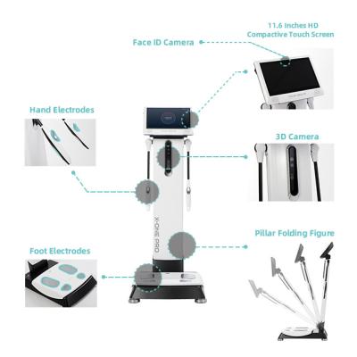 China For Version TUV CE Large Screen Commercial Quantum Body Fat Analyzer Scale Life Span for sale