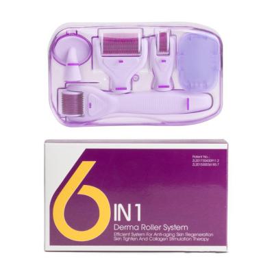 China Skin Rejuvenation CE Approved Home Use Skin Care 6 In 1 Micro Needle Roller Set for sale