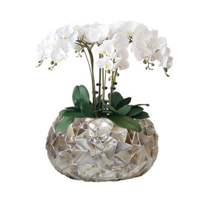 China High Quality Wholesale CLASSIC Shell Ball Shaped Flower Pot European Style Planter for sale