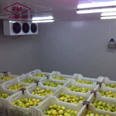 China Good Price manufacturer refrigerated commercial equipment cold storage room for fruit and vegetable for sale