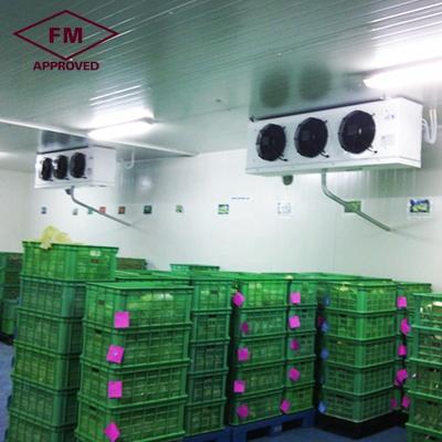 China Customized Easy Disassembly FM manufacturer price fruit vegetable banana cold storage room for sale