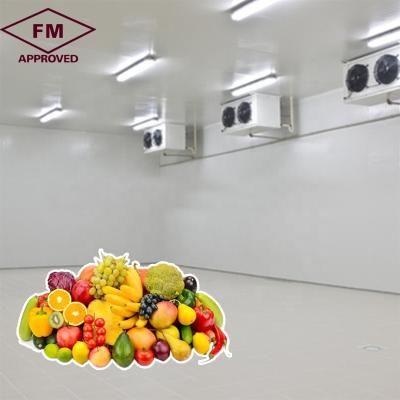 China New high quality price commercial fruit vegetable banana cold room storage for sale for sale