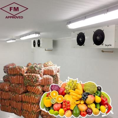 China Direct Factory FM manufacturer price equipment vegetable fruit banana cold storage room for sale