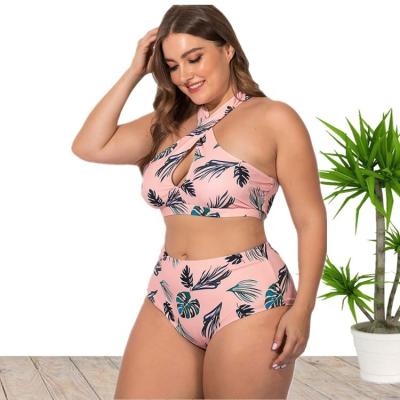 China New come 2021 Anti-UV 5XL plus size two piece floral print hot spring beach bikini swimwear for women for sale