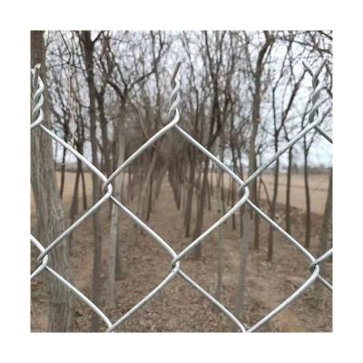 China Fence Competitive Price Fencing Wire Galvanized Chain Fences Price Tie Fence for sale