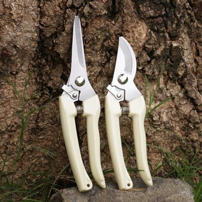 China Small Anti-Slip Handle Garden Bypass Tree Shears Branch Trimming Pruner Cutting With High Quality Floral Scissors for sale