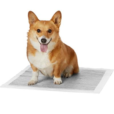 China Hot Sale Pet Puppy Carbon Dog Pee Dog Training Pad Absorbent Dog Training Pad Viable Hot Disposable Potty Pad for sale