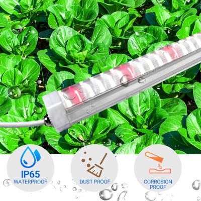 China Seed Starting Led Grow Light T8 IP65 Hydroponic Plant Grow Light For Farm for sale