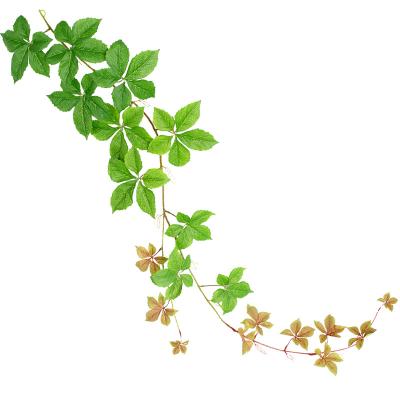 China Artificial Flower Boston Ivy Silk Flowers Wall Green Plant Leaf Parthenocissus Flower Vine Wedding Festival Home Decoration for sale