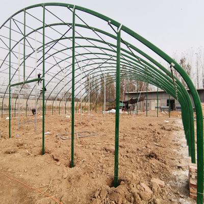 China Factory Direct Supply Modern All Steel Frame Hot Shed Breeding Greenhouse for sale