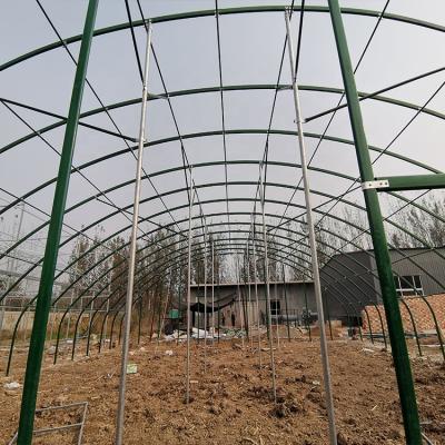 China Modern hot selling breeding and growing greenhouses with low price for sale