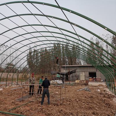 China Modern HOT SALE Low Cost Prefab Chicken Poultry Green House for sale