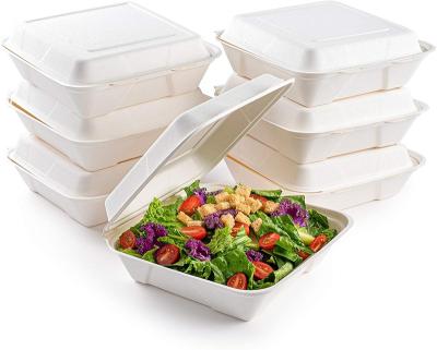 China Compostable Biodegradable Under 90 Day 8*8 Bagasse Bento Box Biodegradable Sugarcane Pulp White Clamshell Disposable Food Containers for sale