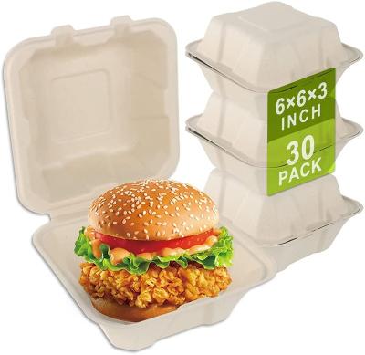 China Biodegradable Disposable Salad Bento Food Packaging Lunch Box Bagasse Hamburger Pizza 6 Inch Sugar Cane Pulp Biodegradable Takeout Food Containers for sale