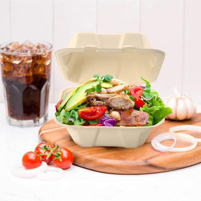 China 450ml White Biodegradable Lunch Box Disposable Bagasse Paper Products 6