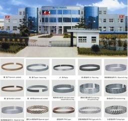 Verified China supplier - Guangzhou FP Piston Ring Co., Ltd.