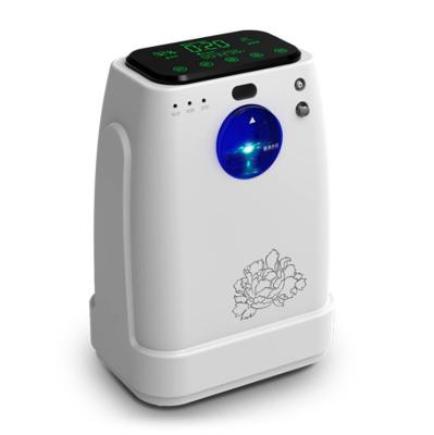 China Common home use 1l remote control oxygen concentrator with nebulizer function MSLZY30 for sale