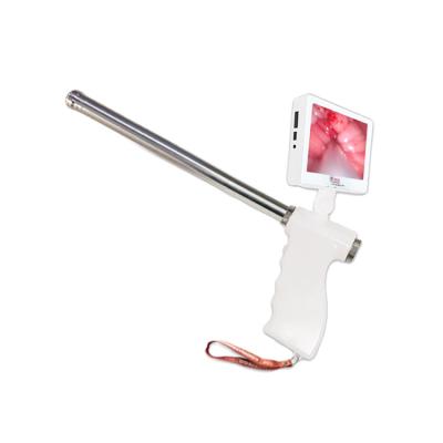 China Portable Animal Artificial Vet Visual Insemination Gun For Horses MSLDE03 for sale