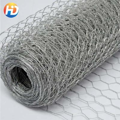 China Poultry wire mesh / easily assembled galvanized wire fish rack / galvanized netting for sale