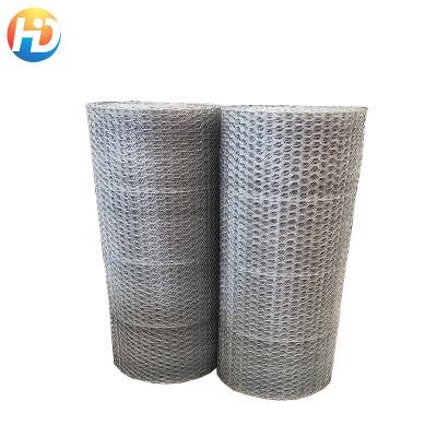 China Easily Assembled Mesh Galvanized Poultry Netting Chicken Wire Mesh for sale