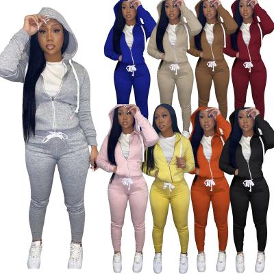 China Good Quality 2022 Two Piece Clothing Set Solid Head Velvet Crop Anti-pilling 2 Piece Set Women Jogging Set Women For Women for sale