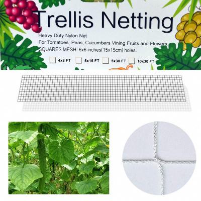 China Durable Acrylic Plant Support Netting Vegetable Climbing Support Net 5X15ft White Nylon Garden Trellis Netting for sale