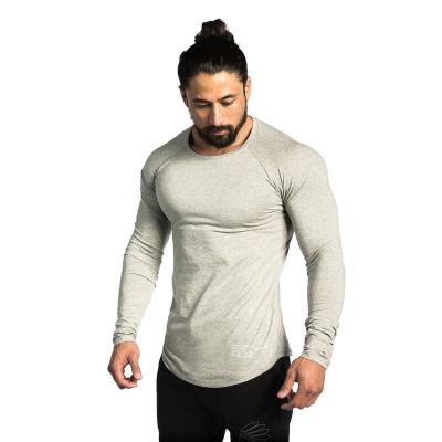 China Custom Logo Fitness Workout Long Sleeve Sweatshirt Cotton T-shirt Anti-wrinkle Men's Gym Long Sleeve T-shirt for sale