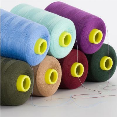 China High Tenacity Sewing Yarn Supplier Polyester 20S 2 Cotton 40S 2 20S 3 100% Leather White Jeans Reserve Time Advance Pattern Color Support Knitting for sale