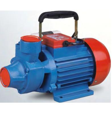 China Family homes mini IDB40 0.75HP pump high efficiency vortex pump electric self-priming clean water booster pump for sale