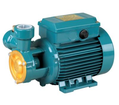 China Family Homes Factory Price 0.5HP Self Sucking Vortex Pump Clean Water Pump for sale