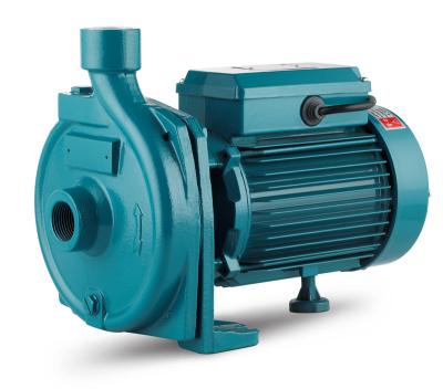 China Irrigation and Agriculture Quality SFD550 /CPM158 High Good Flow 0.75 Hp Centrifugal Electric Water Pumps For Irrigation for sale